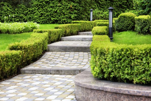 Backyard Remodeling in Lehi