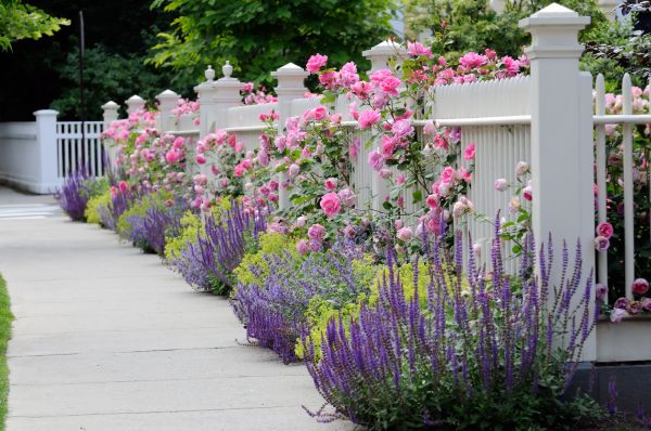 Garden Handyman Service in Lehi