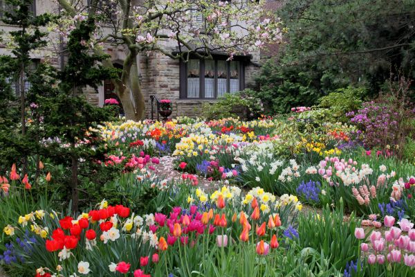 Garden Maintenance Service in Lehi