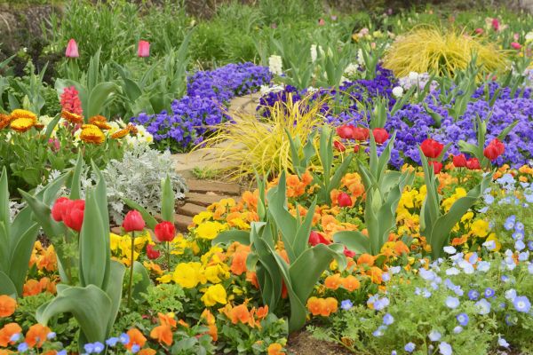 Garden Renovation in Lehi