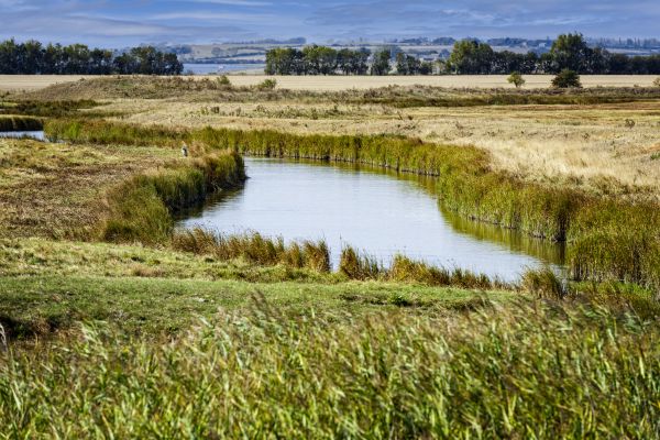 Swale Landscaping in Lehi