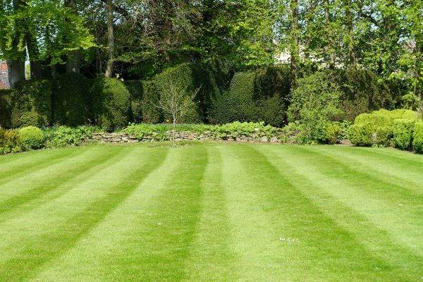 Lawn Renovation in Lehi