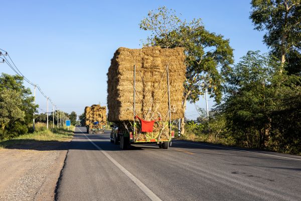 Pine Straw Delivery in Lehi