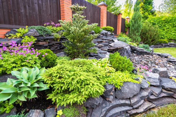 Landscape Remodeling in Lehi