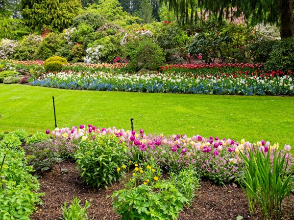 Residential Landscape Design in Lehi