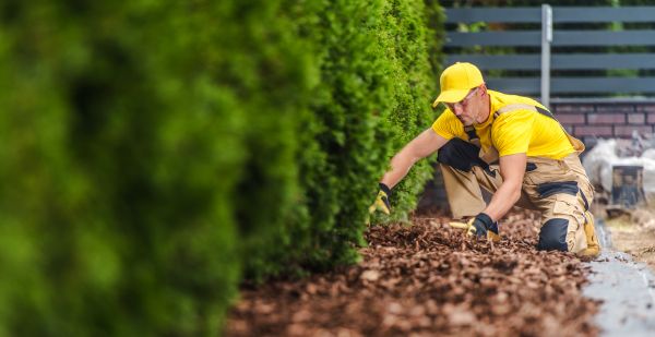 Cypress Mulch Installation in Lehi