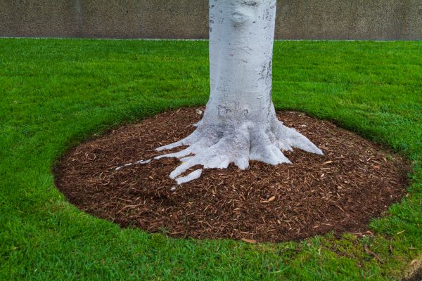 Brown Mulch Installation in Lehi