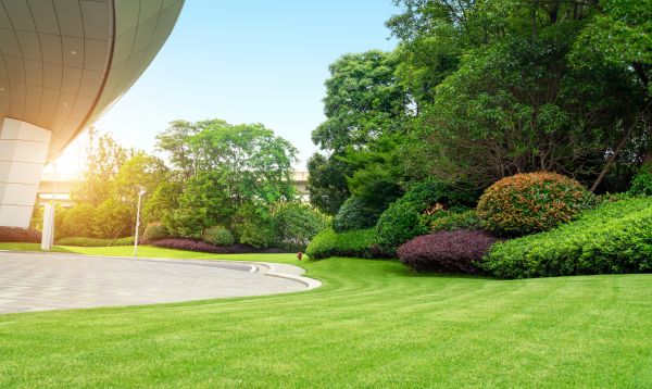 Business Landscape Design in Lehi