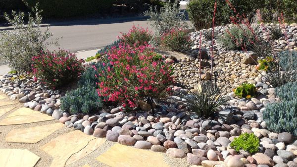 Xeriscape Landscaping in Lehi