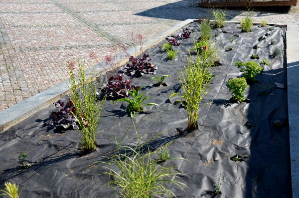 Landscape Fabric Installation in Lehi