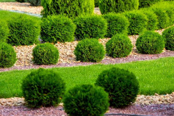 Bush Installation in Lehi