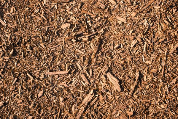 Wood Chips Removal in Lehi