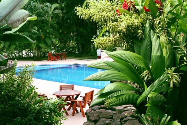 Pool Area Landscaping in Lehi