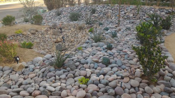 Yard Xeriscaping in Lehi