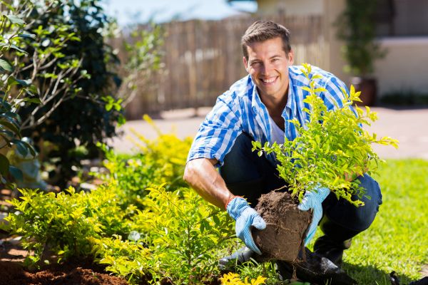 Shrub Landscaping in Lehi