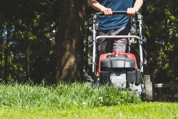 Garden Trimming Service in Lehi