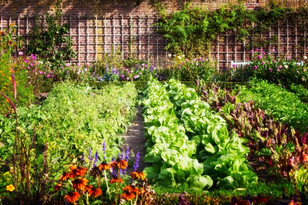 Garden Planting Service in Lehi