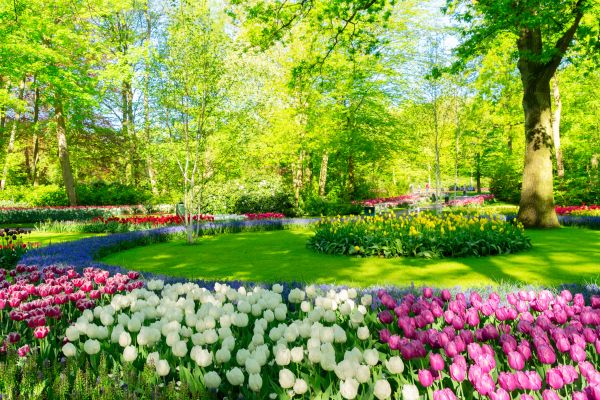 Flower Landscaping in Lehi