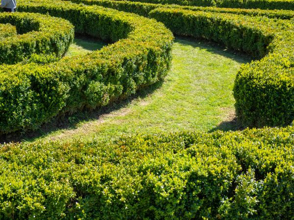 Bush Landscaping in Lehi