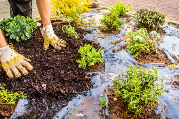 Mulch Fabric Installation in Lehi