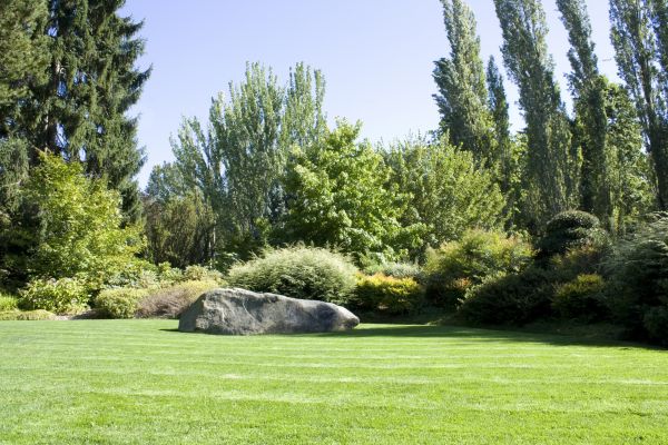 Yard Enlargement in Lehi