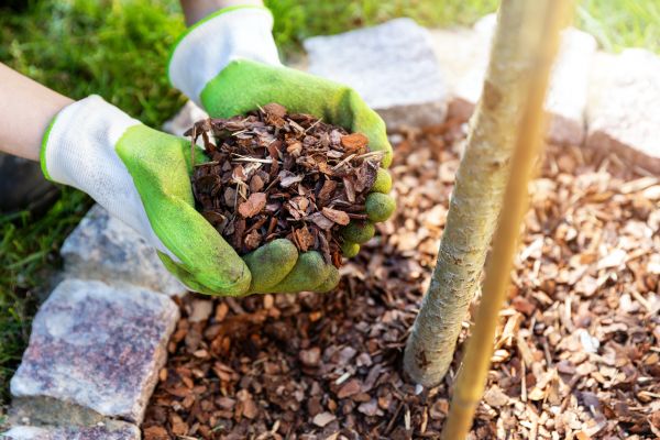 Tree Bark Delivery in Lehi