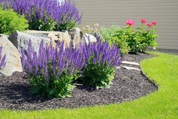 Landscape Planting Service in Lehi