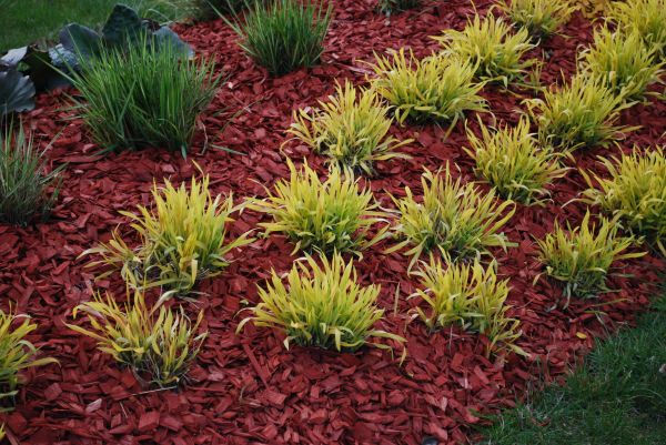 Red Mulch Installation in Lehi