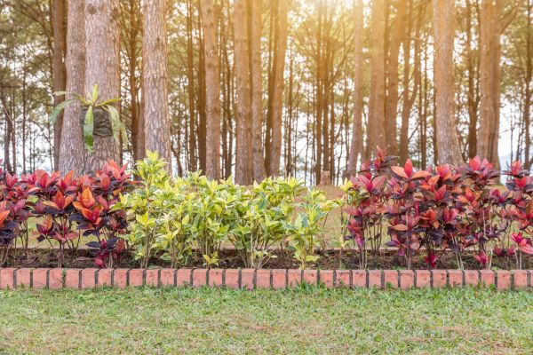 Small Garden Landscaping in Lehi