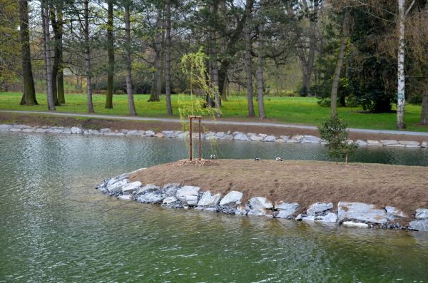 Pond Landscaping Service in Lehi