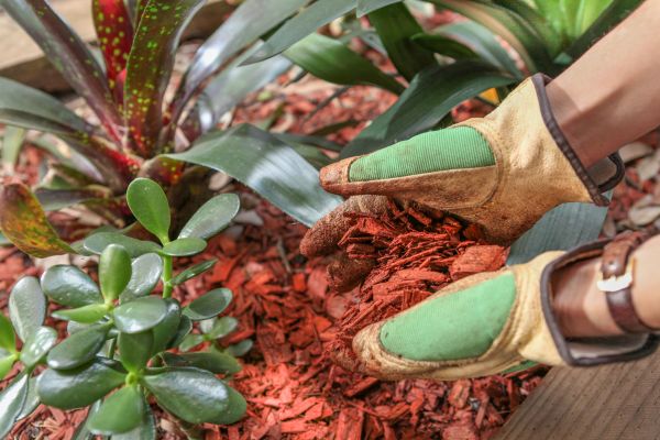 Residential Mulching in Lehi