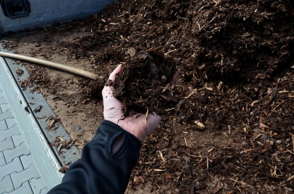 Condo Mulching in Lehi