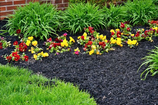 Apartment Mulching in Lehi