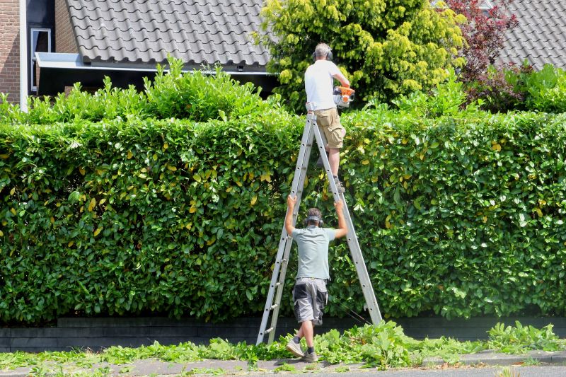 Hedge Landscaping