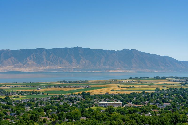 Who Does Landscapings