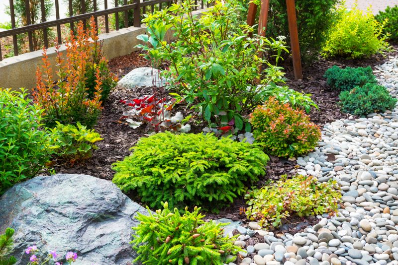 Xeriscaping Service